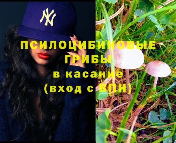 молекула духа Арсеньев